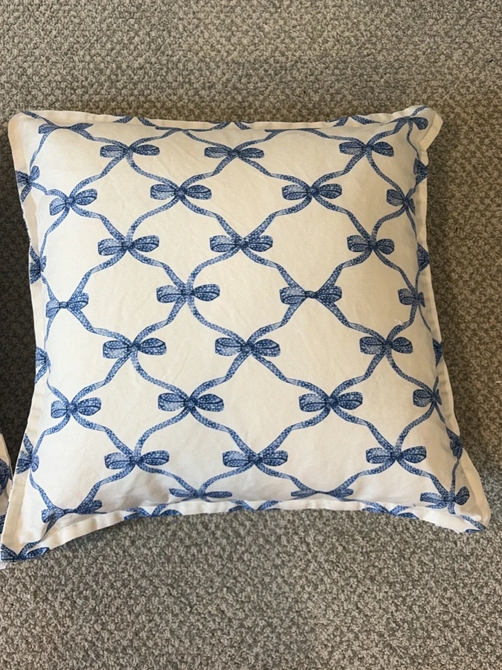 Blue Rope Pattern Decorative Pillow Cover - Set of 2